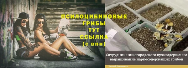 PSILOCYBIN Балабаново