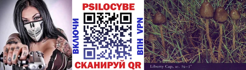 маркетплейс официальный сайт  Североуральск  Галлюциногенные грибы Psilocybine cubensis 